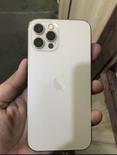 Apple iPhone 12 Pro