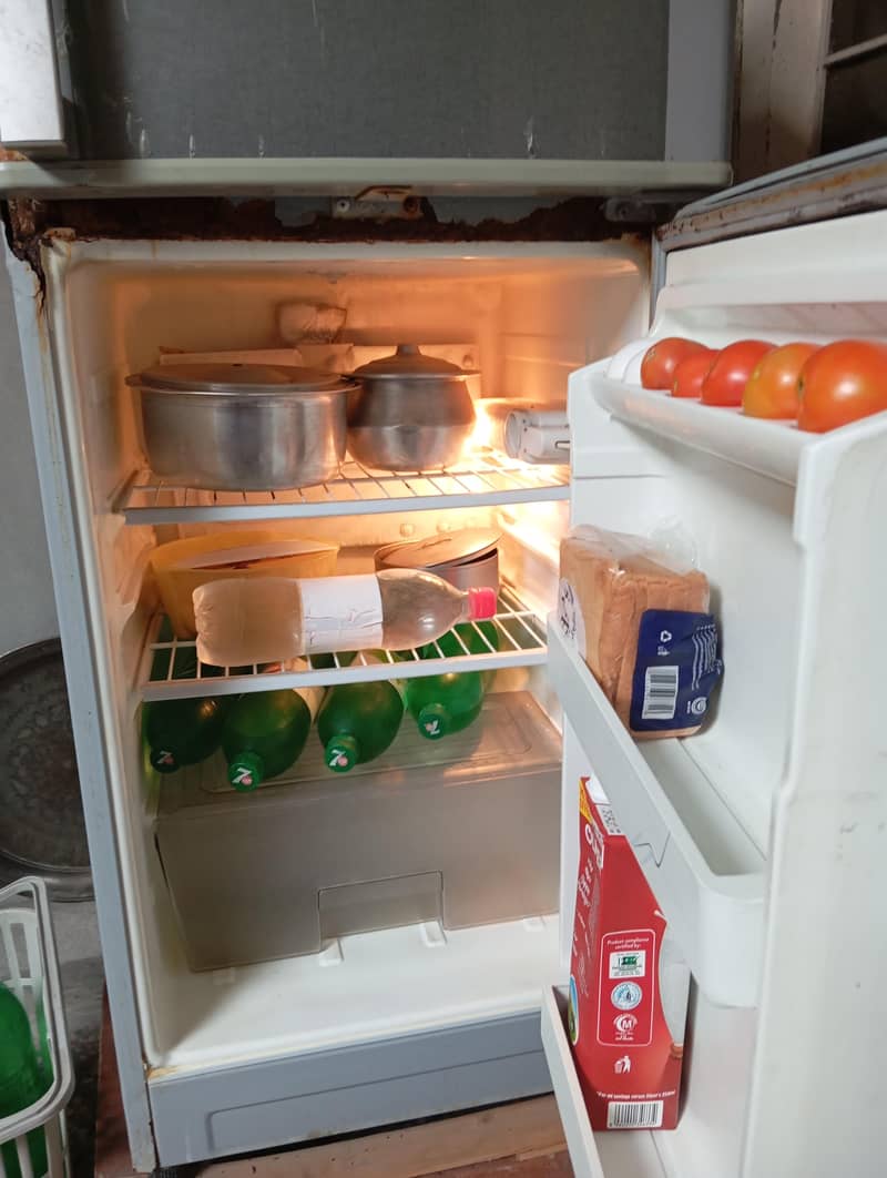 small fridge 1
