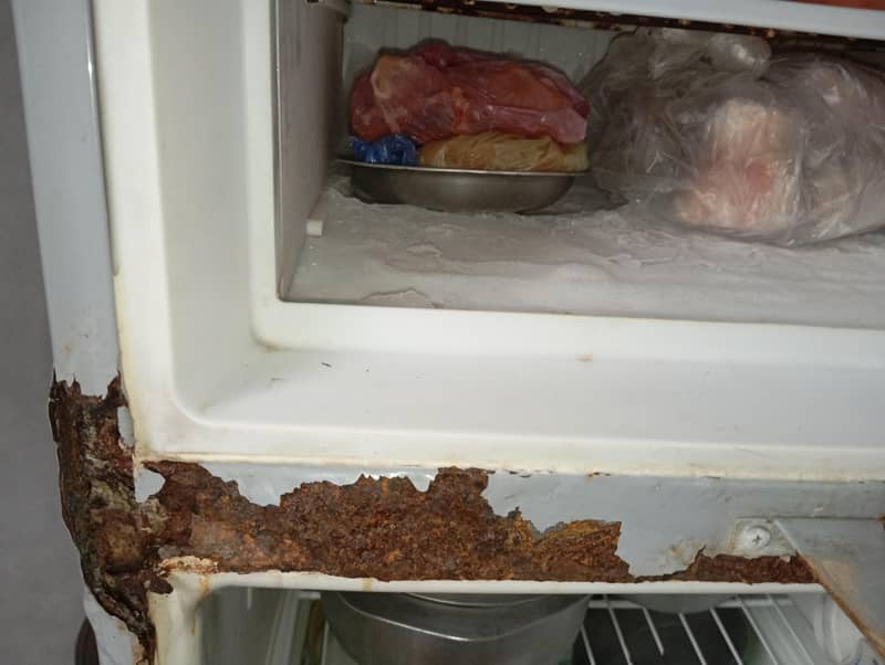 small fridge 5