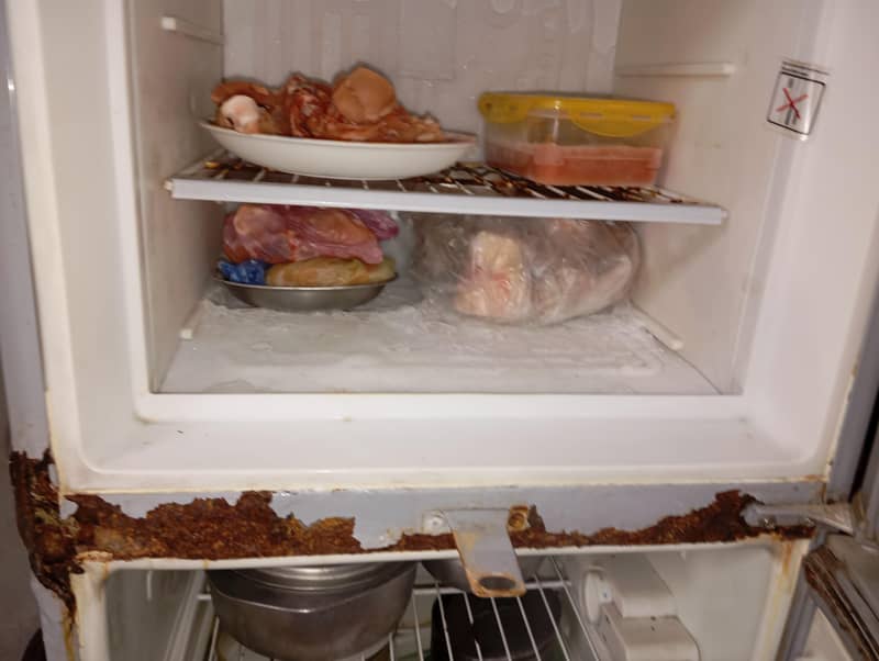 small fridge 6