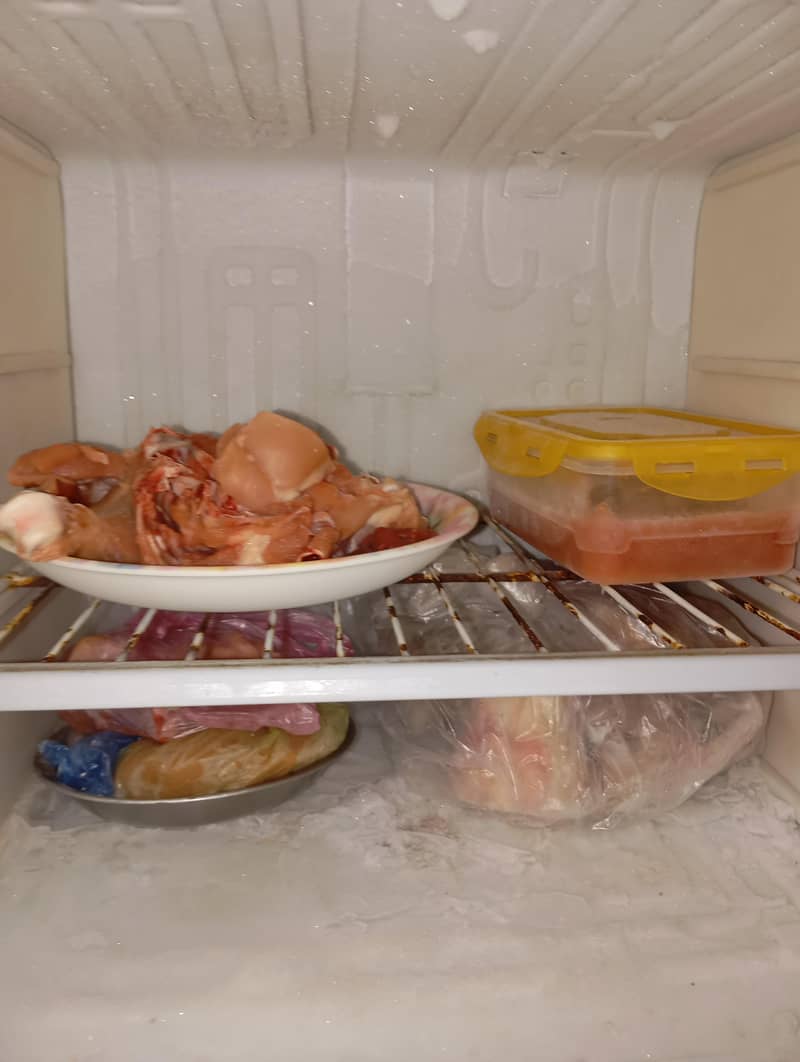 small fridge 8