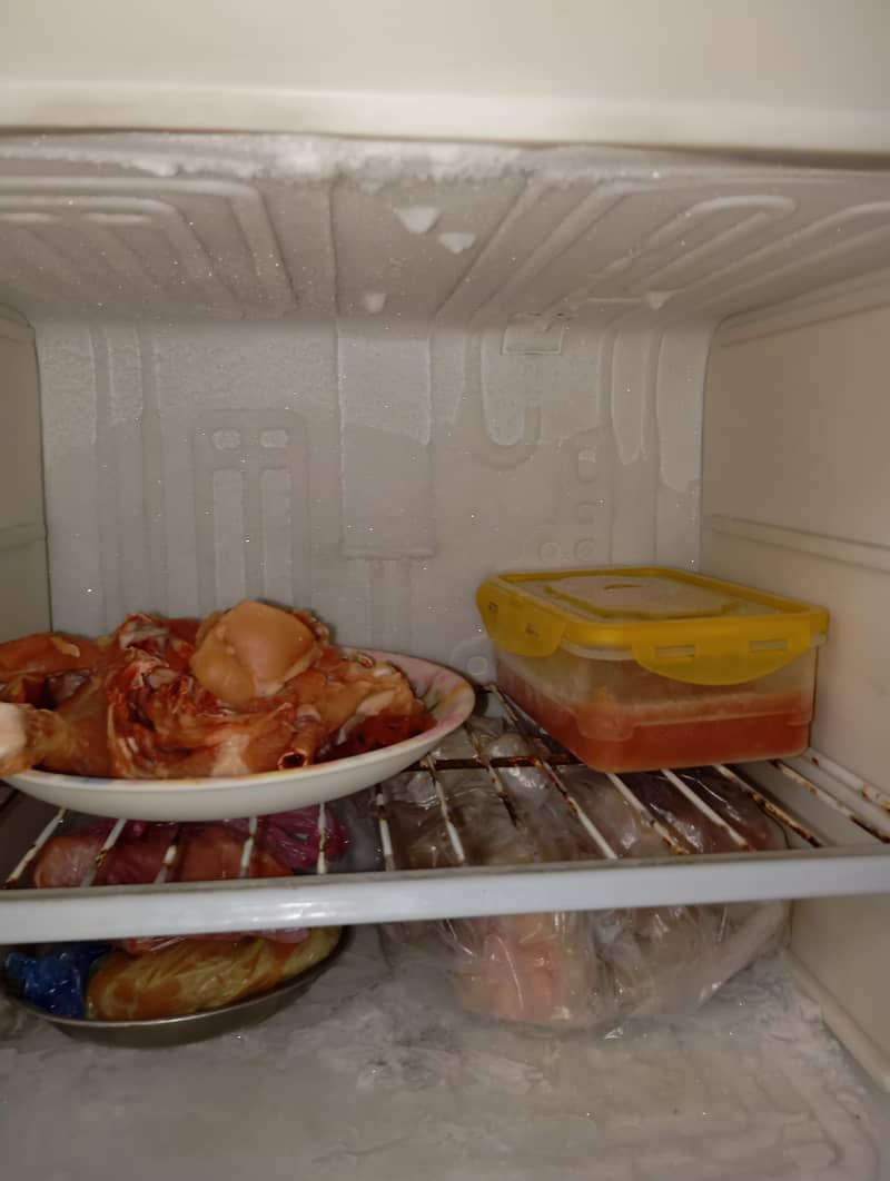 small fridge 9