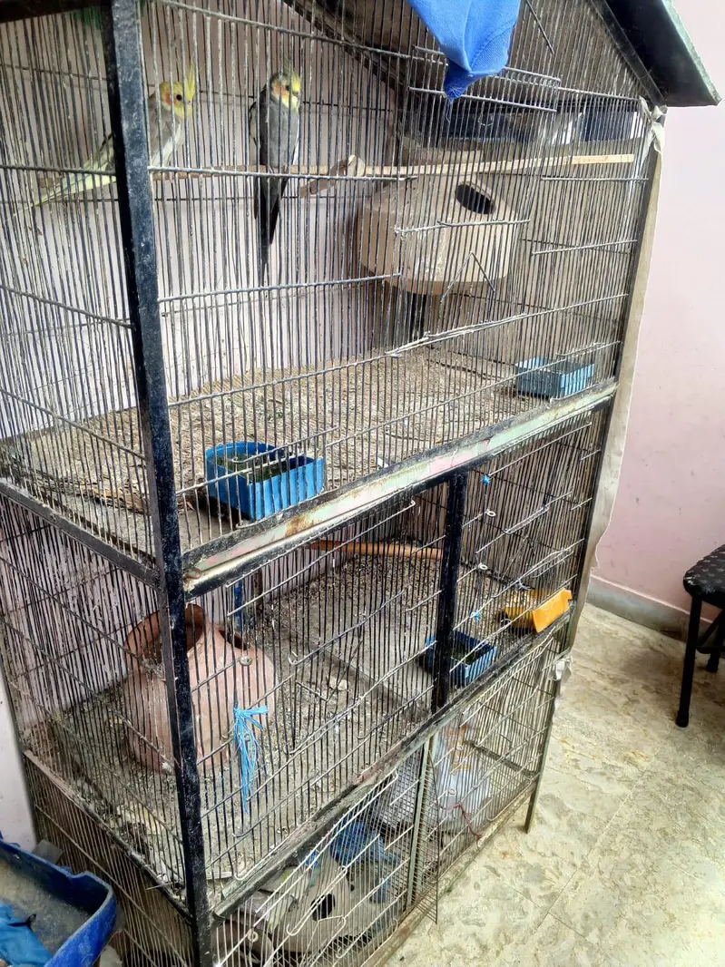 3-Portion Large Iron Bird Cage with Breeding Boxes for Sale — photo 2