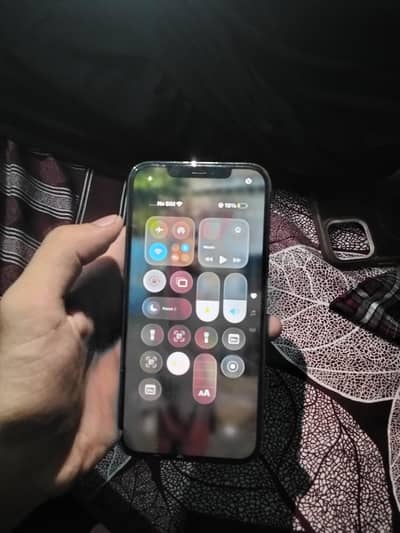 Apple iPhone 12 Pro Max