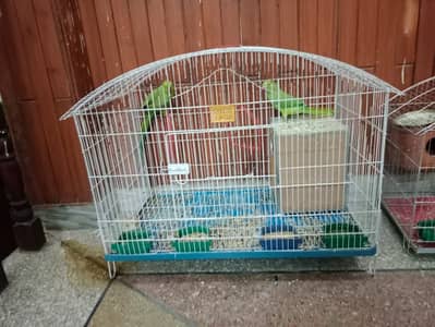 Big cage of birds for sale