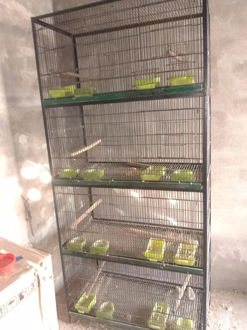 3by 1,5 ka angale cage ha 4khana Wala partition be ha 8khana ho jata h — photo 5