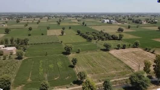 Lahore Organic Farms Society Located on Main Barki Road, Lahore.