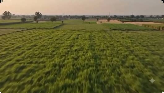 Lahore Organic Farms Society Located on Main Barki Road, Lahore.