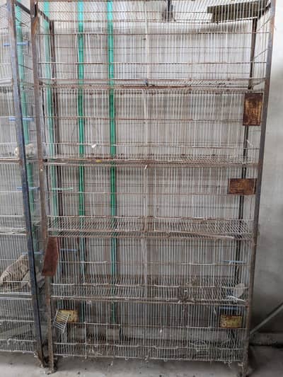 Bird cages