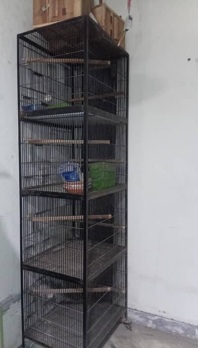 birds cages