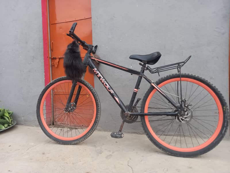 Bicycle 1