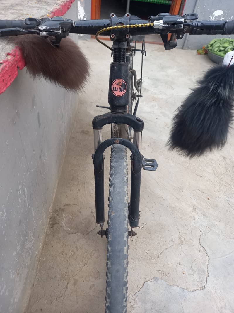 Bicycle 2