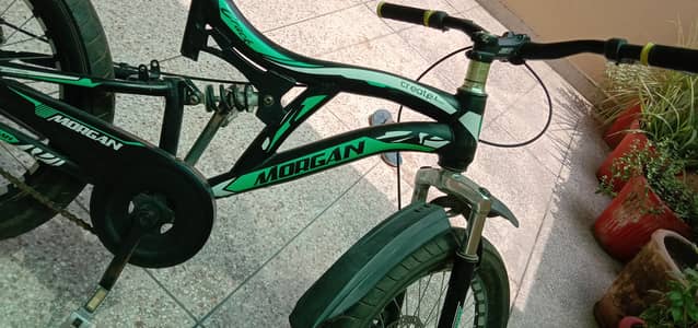 Morgan Mountains Bicycle for sale