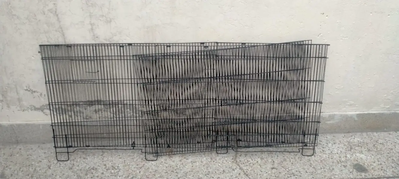 Iron cage — photo 2