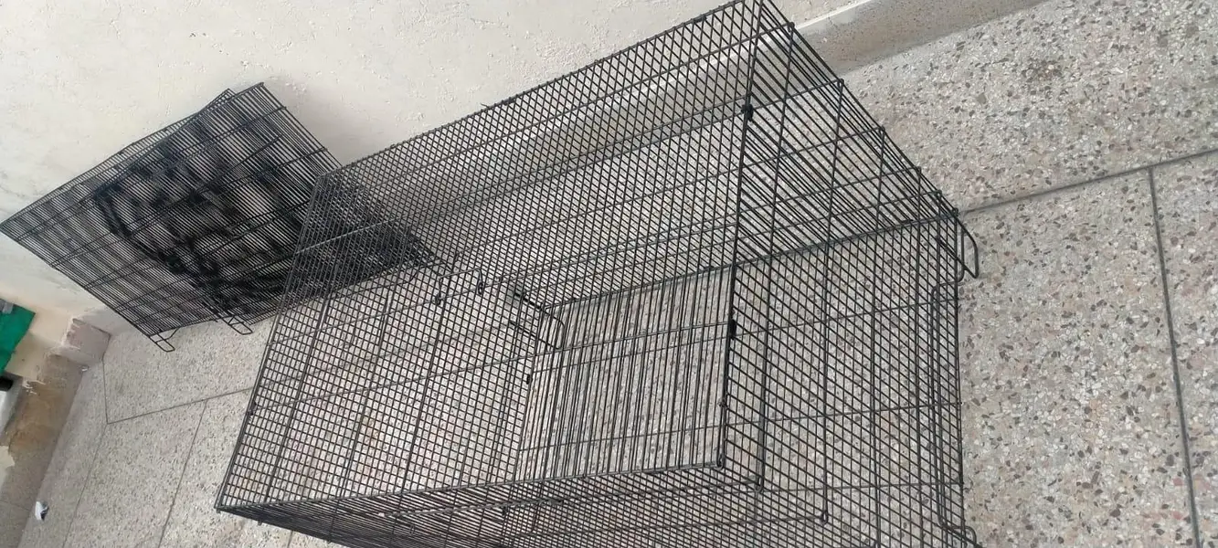 Iron cage — photo 3