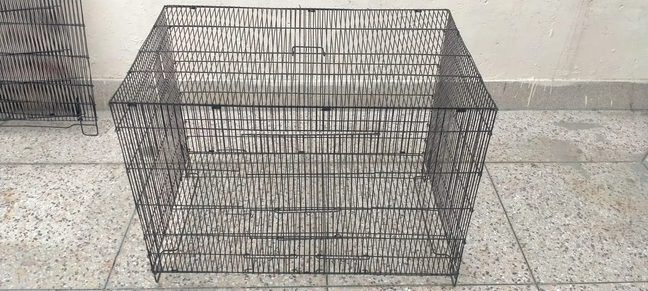 Iron cage — photo 4