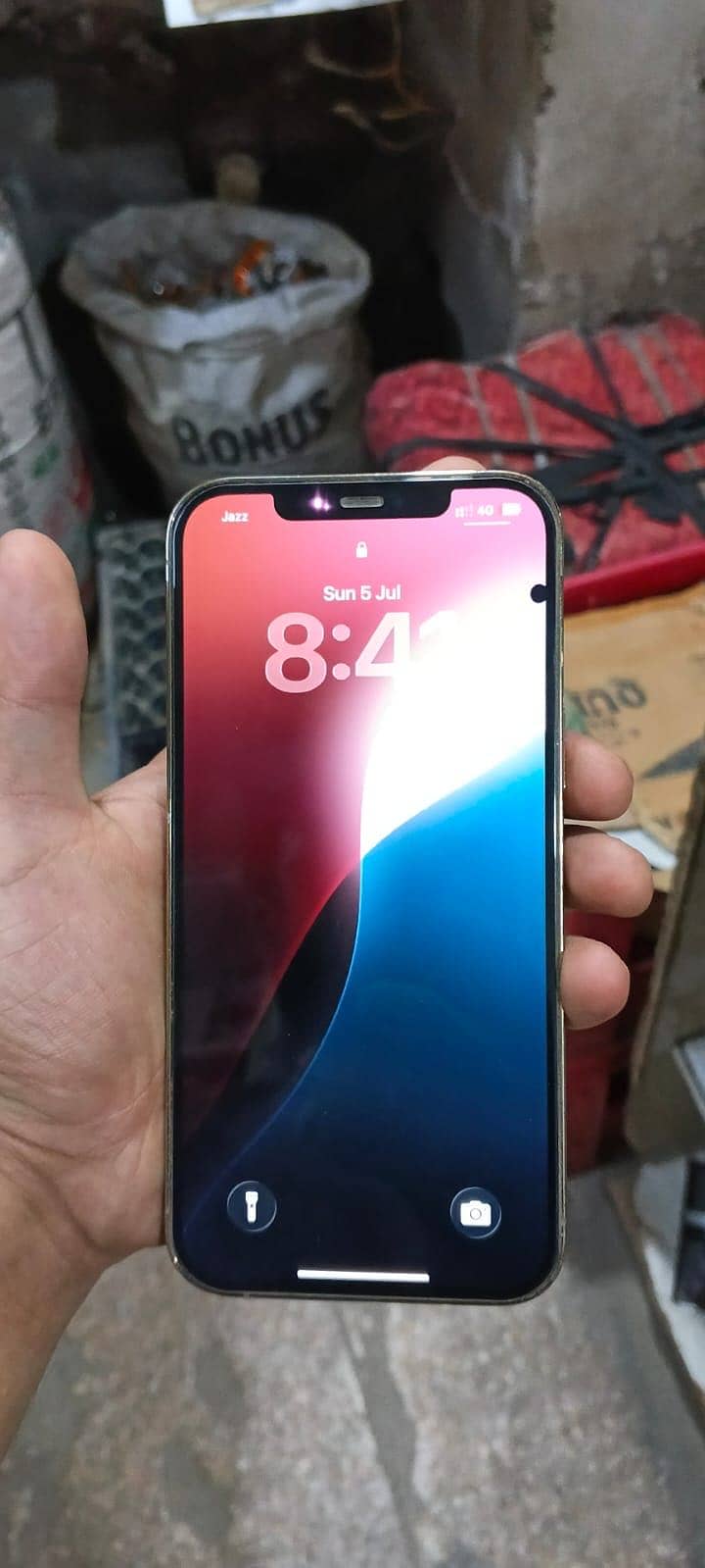 12 pro max 1