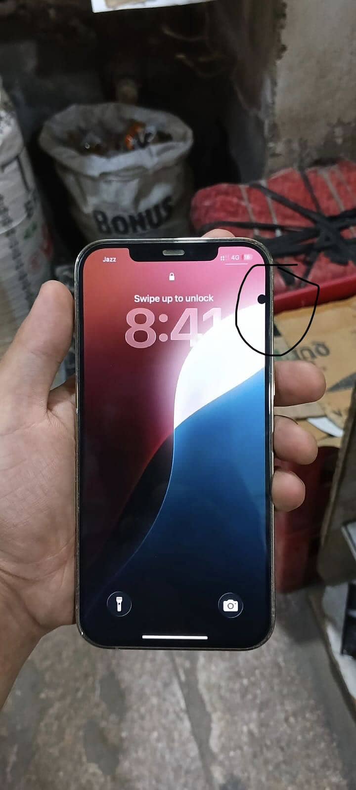 12 pro max 3