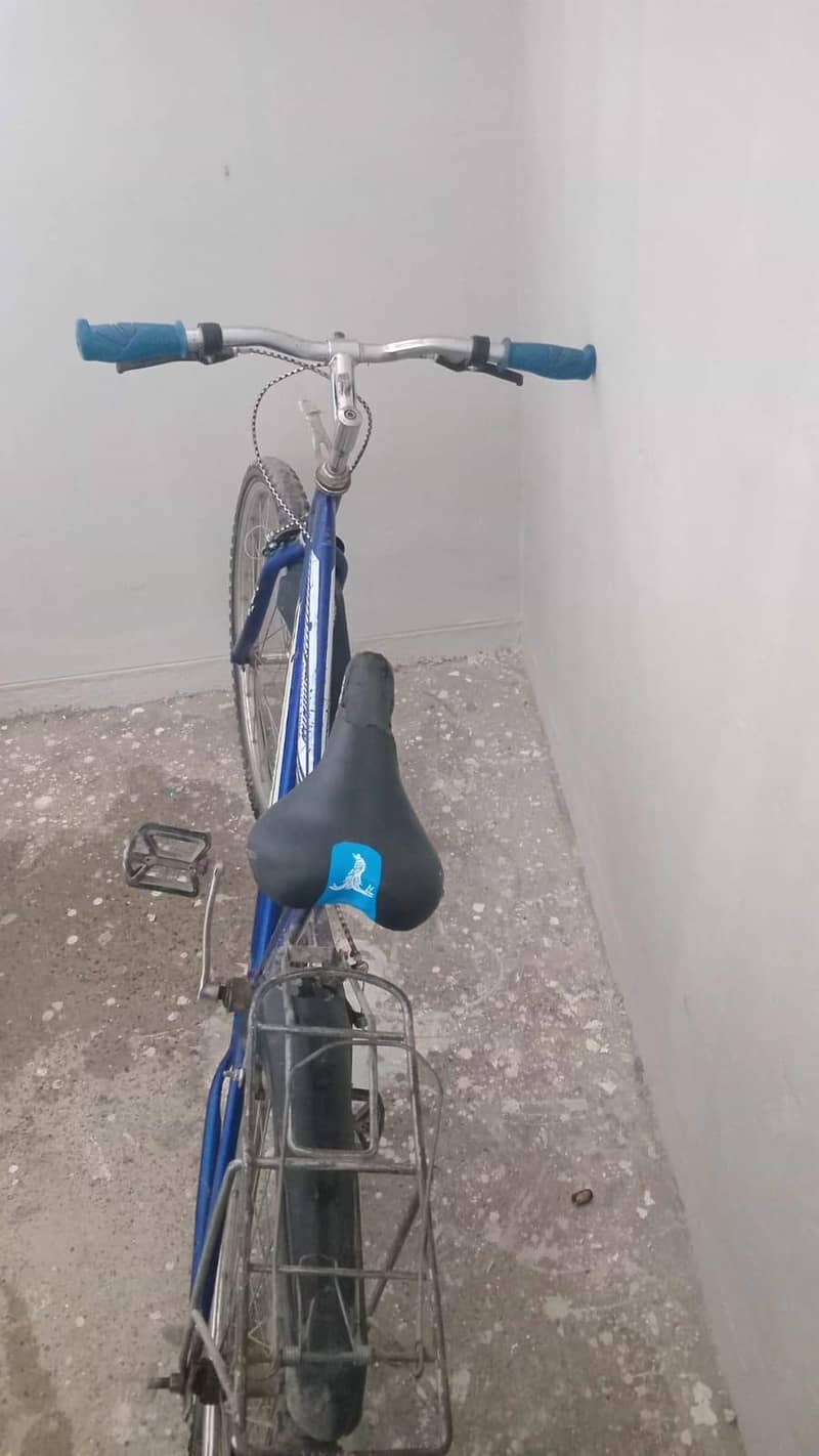bicycle 2