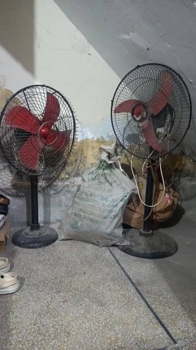 fans for sale