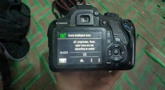 Canon Camera with dual batteries