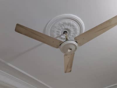 Ceiling fans for sale