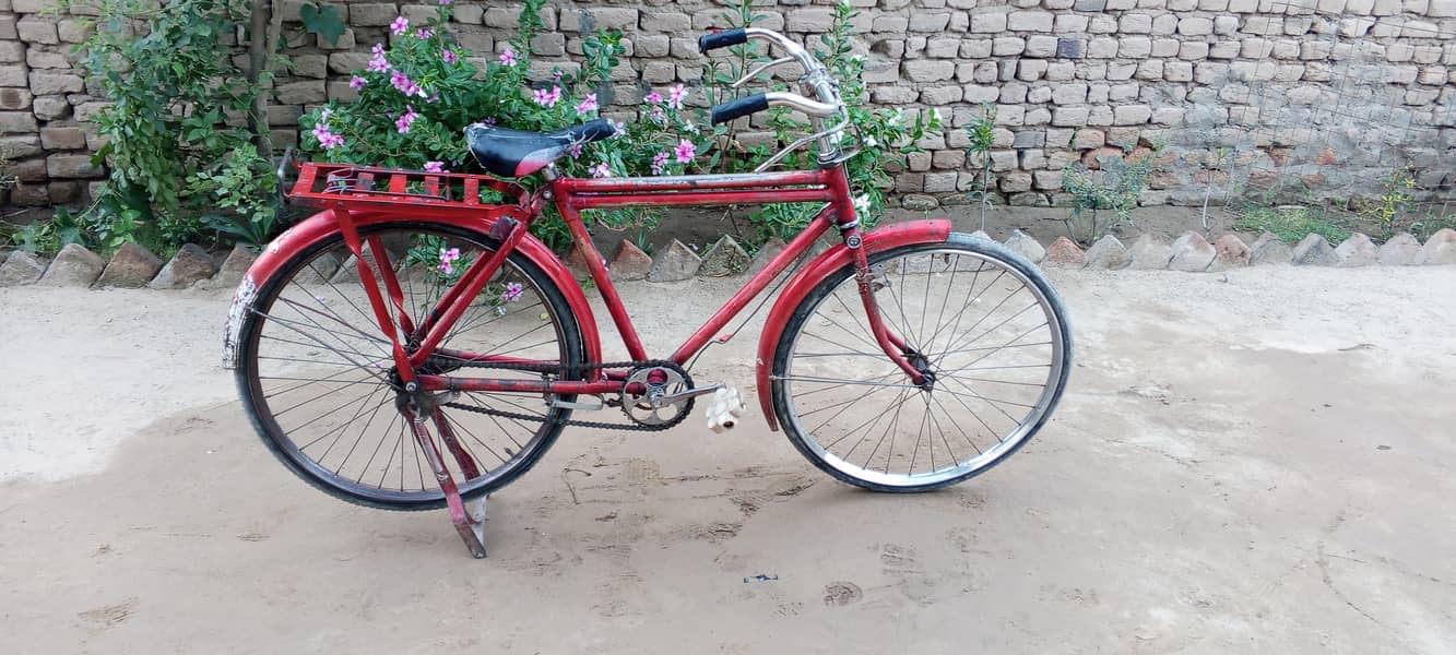 bicycle 0