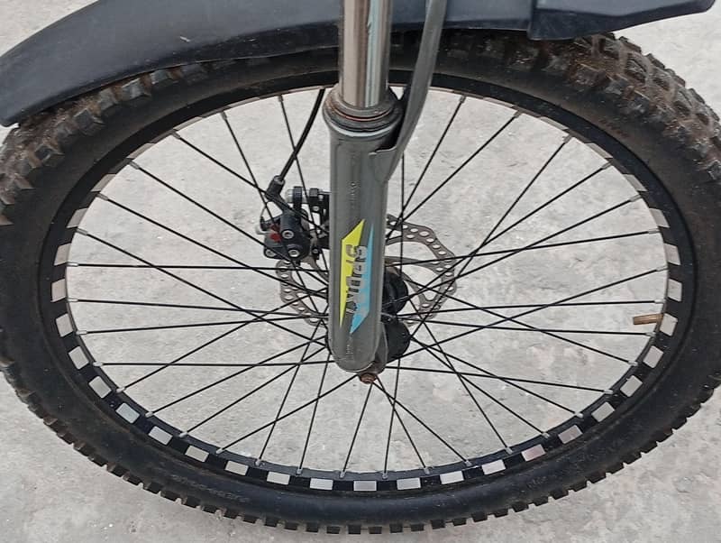 cicle 5