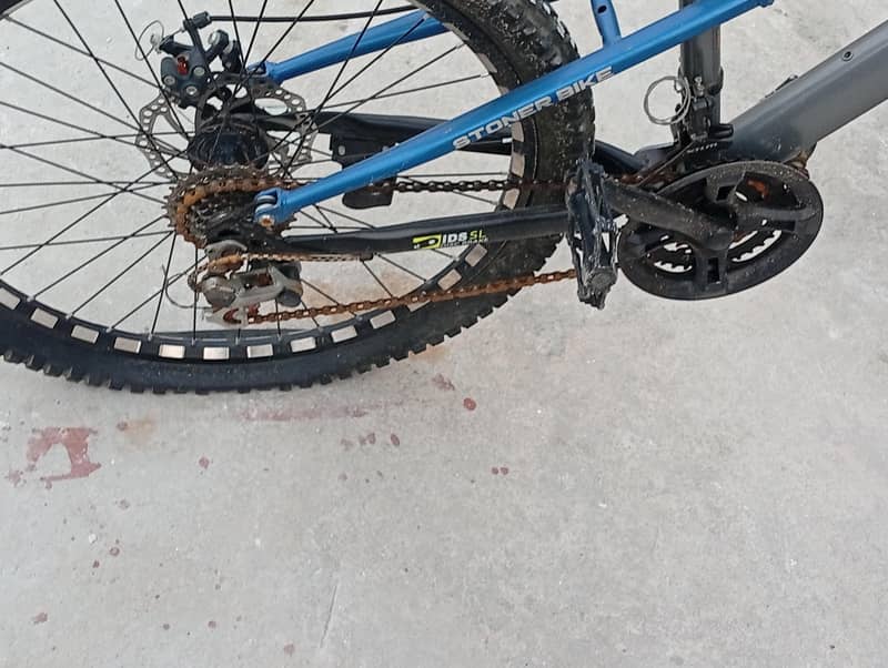 cicle 6