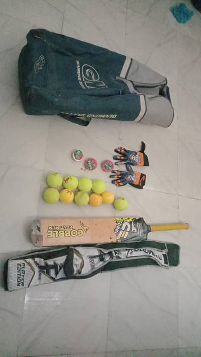 cricket sports