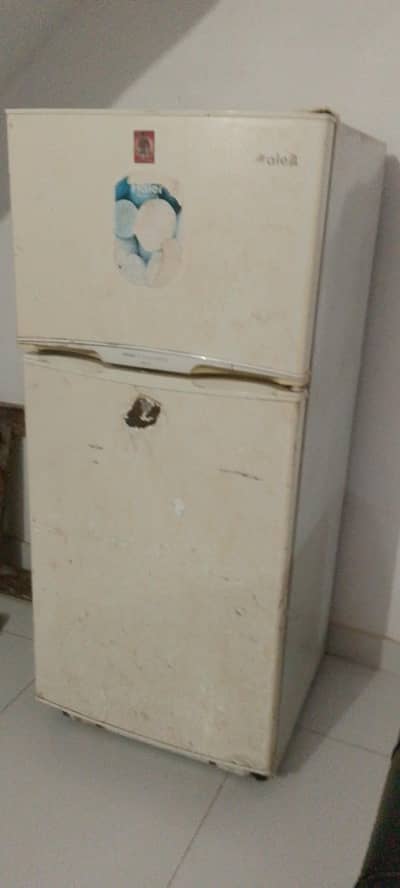 Hair Freezer for Sale