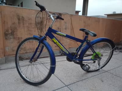 big bicycle