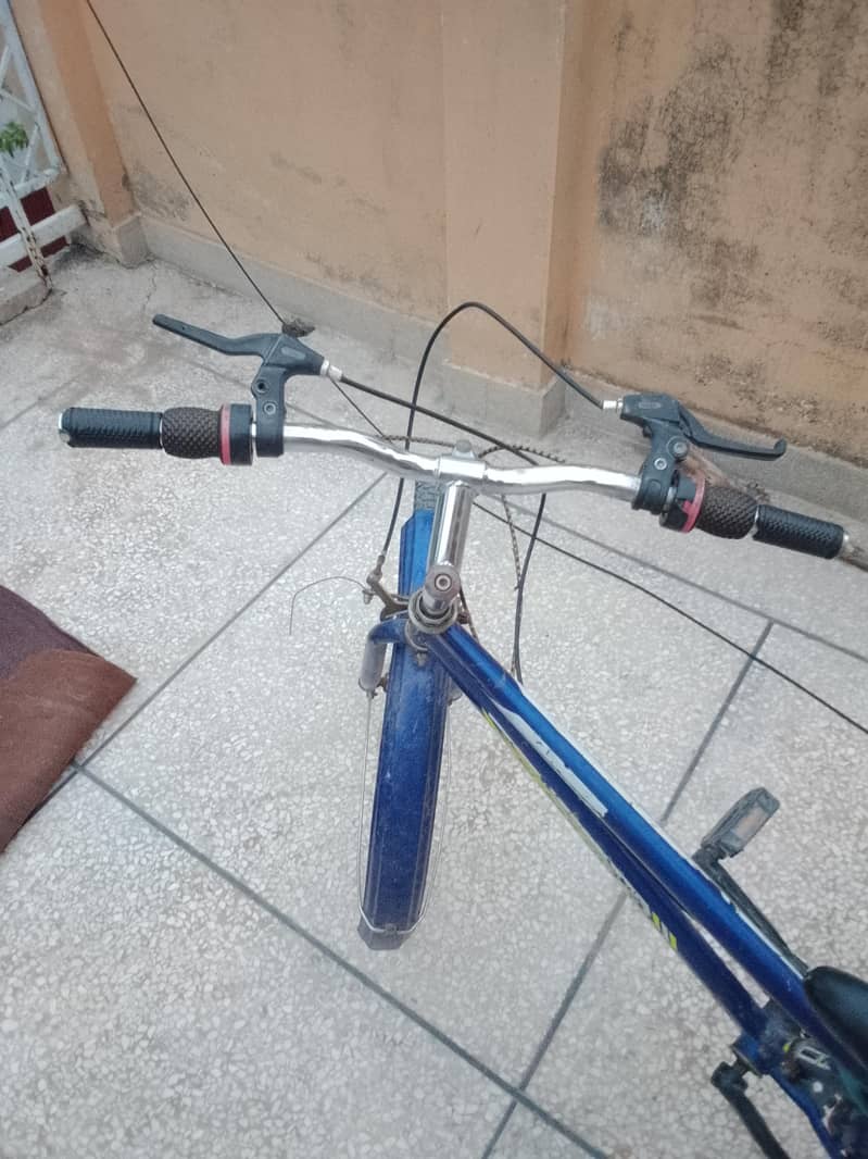 cycle big 5