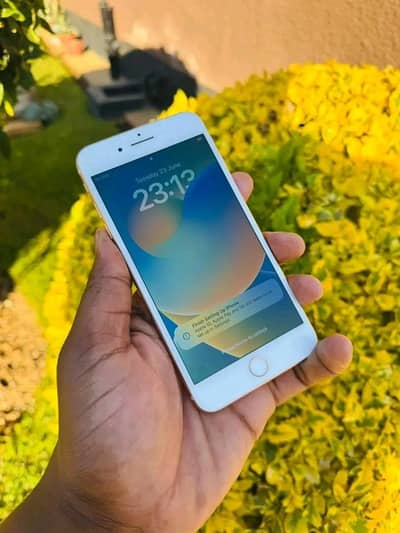 Iphone 8plus PTA approved 256GB My Whatsapp number 0309_37_13_771