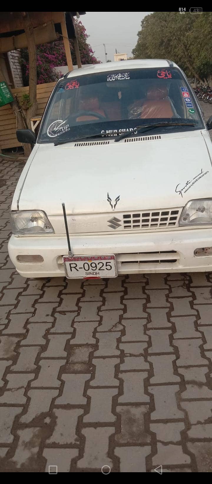 Suzuki 6