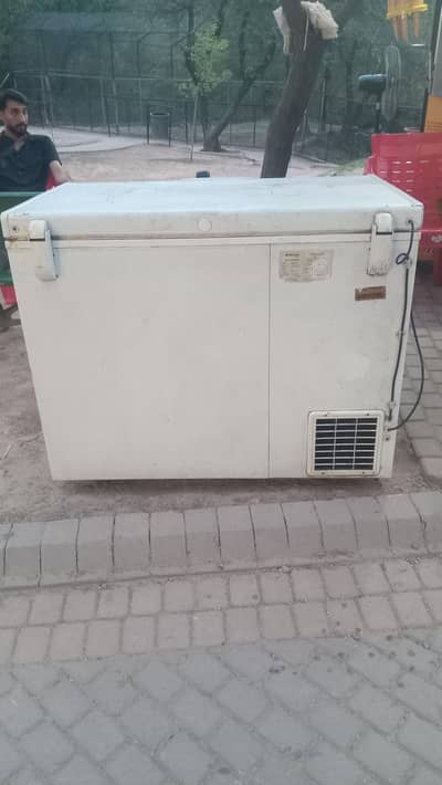 waves Fridge