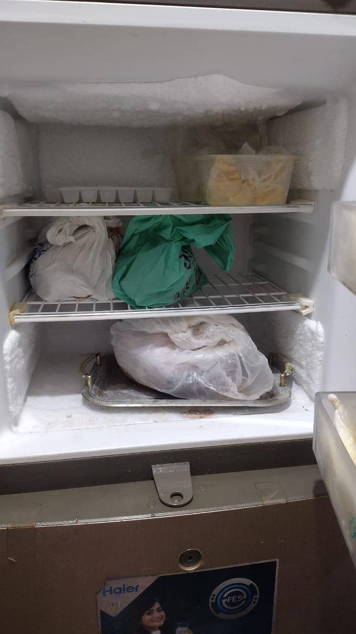 Fridge 4