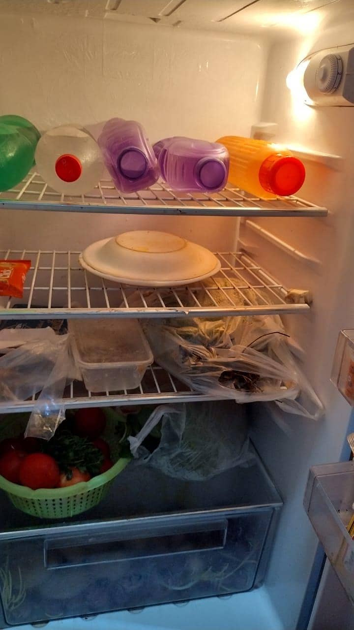fridge 2