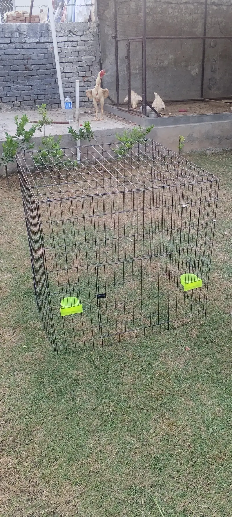 Aseel Cages — photo 2