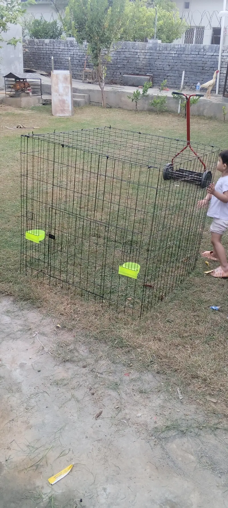 Aseel Cages — photo 4