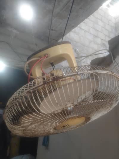 pak circomatic fan