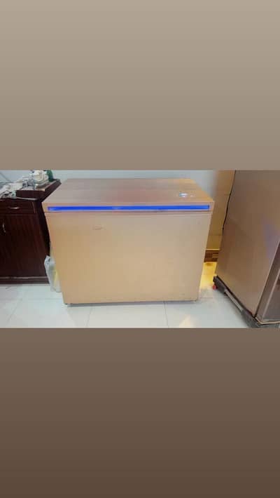 Waves freezer single door