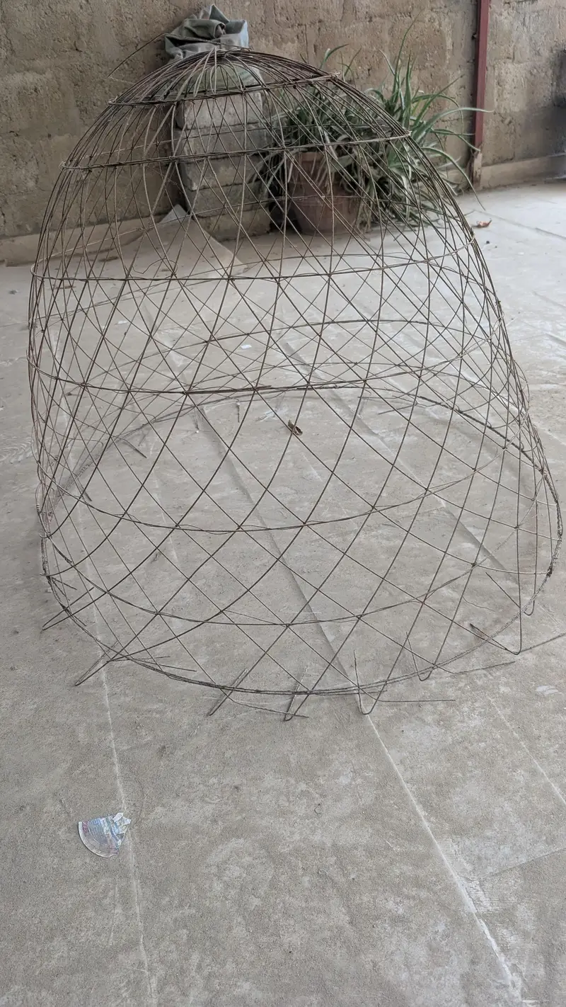 cage for hen or cock