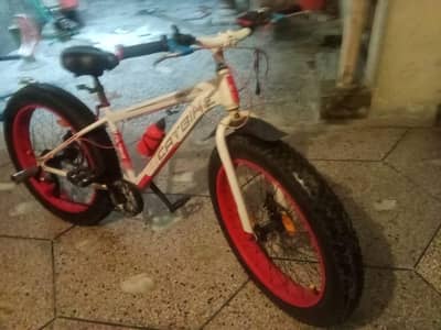 Fet ter cycles