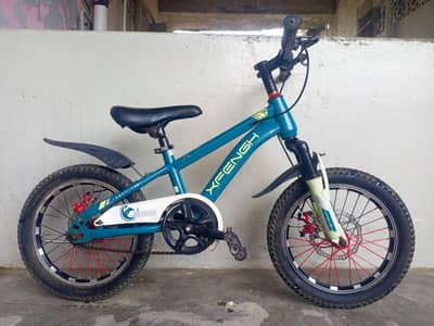 kids Cycle (Size 16)    (0316/27/45/675)