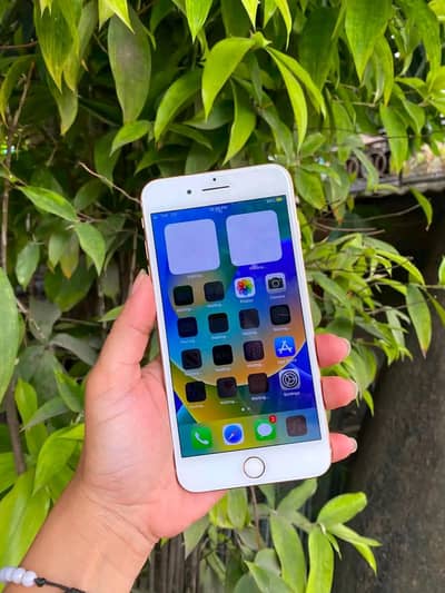 Iphone 8plus PTA approved 256GB My Whatsapp number 0309_37_13_771