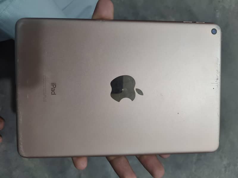 ipad mini 5 1