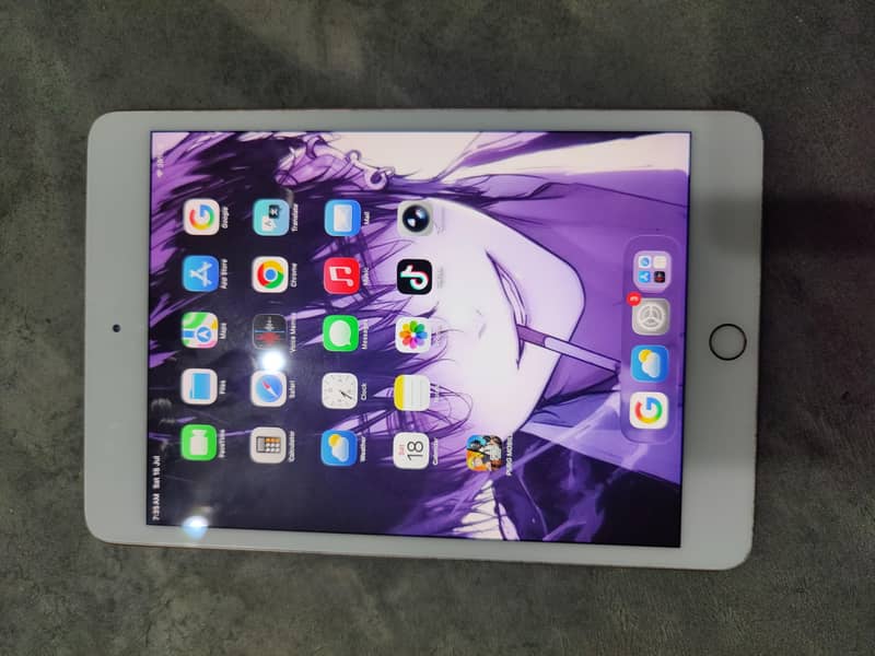 ipad mini 5 3