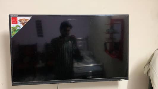 orient 40inch led hd for sale 0370 8135701