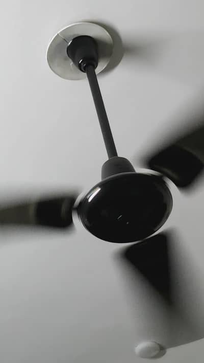 Royal ceiling fan for sale available in good condition